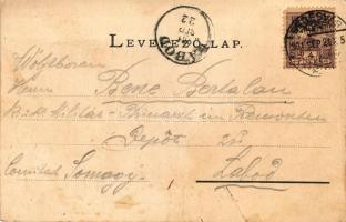 Segesvár, Várdomb / castle hill