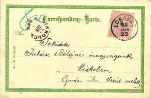 1899 Elberfeld, Europaischer Hof und Bahnhof, Denkmal Kaiser Friedrich III / railway station, floral...