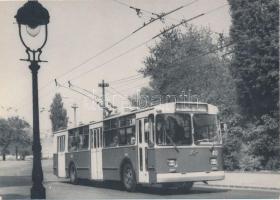 10 db MODERN használatlan motívumlap; magyar autó- és trolibusz / 10 modern unused motive cards; Hun...