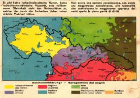 'Nincs csehszlovák nemzet...' kiadja a Magyar Nemzeti Szövetség / Anti-Czechoslovakian propaganda, irredenta, minority map, So.Stpl