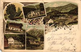 1899 Kernhof, Restaurant Schreiner, railway station, Guest house Sattelhof and Bependenzkerhof, Regel & Krug No. 834. bird floral Art Nouveau litho (EM)