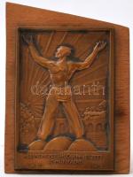 1948. "A legnehezebb időben végzett jó munkáért" Br plakett támasztékkal ellátott falapon T:2