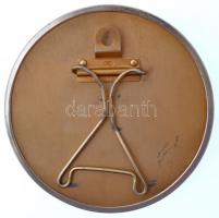 Szovjetunió DN "Lenin" Br plakett keretben, támasztékkal. Szign.: N. Szokolov T:2
Soviet U...