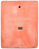 Kisfaludy Stróbl Zsigmond (1884-1975) 1974. "Gróf Széchenyi István / Közlekedéstudományi Egyesü...