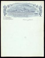 cca 1900-1910 A Badacsony-Borvidéki Szőlősgazdák Állami Ellenőrzés alatt álló Pinceszövetkezetének díszes fejléces kitöltetlen levélpapírja