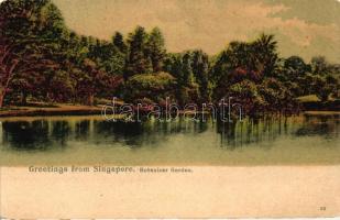 Singapore Botanic Gardens (b)