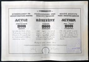 Budapest 1923. "Mezőgazdasági Ipar-Részvénytársaság" részvénye 10 000K-ről szelvényekkel T:II