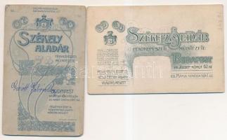 cca 1860-1900 Korabeli, keményhátú családi  fotók, Székely Aladár (Budapest) különböző hátoldallal, ...