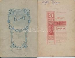 cca 1860-1890 Korabeli, nagy méretű, keményhátú családi  fotók, 5db, különböző szép, szecessziós ver...