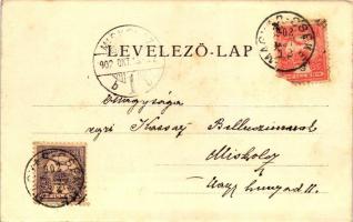 Czerny-féle Osan kozmetikumok / Czerny's Osan cosmetic products, Anton J. Czerny, Wien; litho