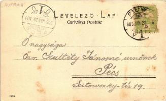 Az Aurania tengerjáró a Baross kikötőben, Fiuméban / SS Aurania