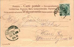 Austrian alpine hiking boots, Edelweiss Emb. litho