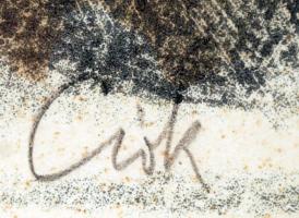 Csók István (1865-1961): Ülő leány, színezett litho, paszpartuban, üvegezett fa keretben, 30×21,5 cm