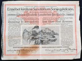 Budapest 1904. "Erzsébet királyné Sanatorium Sorsjegykölcsön" sorsjegye 5K-ról, szárazpecs...