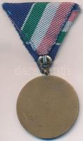 1965. "Árvízvédelemért Érem" patinázott Br kitüntetés mellszalaggal T:2
NMK 663