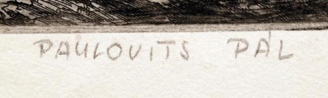 Paulovits Pál (1892-1975): Erdős oldal. Rézkarc, papír, jelzett, 31×43 cm