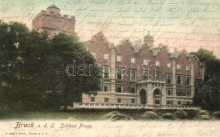 Lajtabruck, Bruck and der Leitha; Prugg kastély / Schloss Prugg / castle (EK)