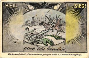 Heil und Sieg / WWI Austrian military propaganda card, cannon, artillery, flags (fa)