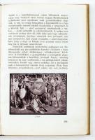 Báró Huszár László: "Kwaheri" "Viszontlátásra " Afrikai vadásznaplójából írta - ...