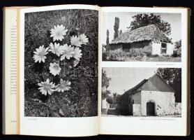 Antalffy Gyula: Börzsöny. Magyar Tájak. A felvételeket Vajda Ernő készítette. Budapest, 1957, Biblio...