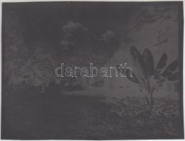 Alsókékedfürdő, Olga lak, eredeti gyártási negatívval