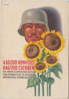 A küzdő honvédet hagyod cserben, ha nem gondoskodsz olajos magvak és rostos növények termeléséről / Hungarian sunflower advertisement s: D. Szabó (fa)