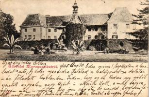 Muraszombat, Szapáry-kastély / castle (EK)