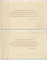 2000. 2000Ft "Millennium" (2x) egymás utáni sorszámmal, eredeti díszcsomagolásban, tájékoz...