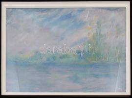 Dilinkó Gábor (1929- ): Hajnal a tavon, vegyes technika, karton, jelzett, üvegezett fa keretben, 43,...