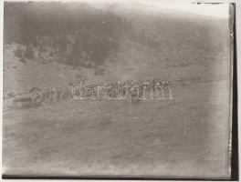 1914 Kerny István (1879-1963): Távíró és telefon vonalak kiépítése Szerbiában egészen Belgrádig, kat...