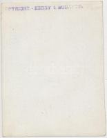 cca 1930 Kerny István (1879-1963): Lánchíd, pecséttel jelzett plasztikus fénykép, hozzáadva a hagyom...