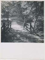 cca 1940 Reich Péter Cornel: Vajon eljön? Jelzetlen vintage fotó a szerző hagyatékából, 17x17 cm, papírméret 24x17 cm