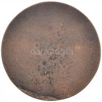 Farkas Aladár (1909-1981) 1972. Munkásőr Br emlékérem (84mm) T:2