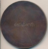 1979. "Természetjáró Úttörők Országos Találkozója - Tiszafüred" Br plakett (65mm) T:2