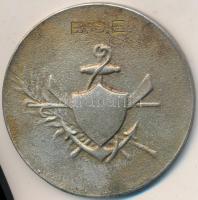 ~1950-1960. "B.S.E." vitorlás fém díjérem (39mm) T:2