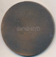 1965. "50 éves a Fővárosi Autóbuszüzem" bronzírozott Al emlékérem (50mm) T:2