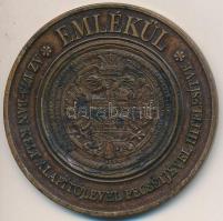 1993. "Bizományi Kereskedőház és Záloghitel Rt. 1773-1993 / Emlékül" Br emlékérem (60mm) T...