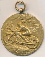 1952. &quot;Magyar Szabadságharcos Szövetség 1952.IX.21.&quot; motoros, aranyozott bronz díjérem (40mm) T:2