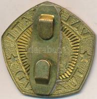 ~1970-1980. "Vállalati Tűzoltó" műgyantás fém jelvény T:2