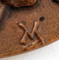 Veress Miklós (1929-): Virágszirom. Bronz plakett, jelzett, d:9,5 cm