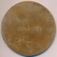 DN "Sátoraljaújhely Spartacus Vadásztársaság" Br emlékérem (83mm) T:2