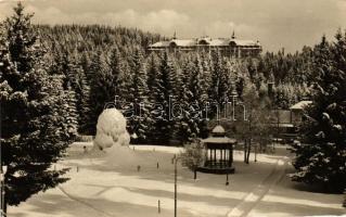 17 db RÉGI fekete-fehér felvidéki városképes lap; Tátralomnic, Csorba tó / 17 old black and white Up...