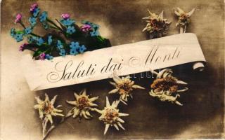 Saluti dai Monti / Greeting card, flowers (Rb)