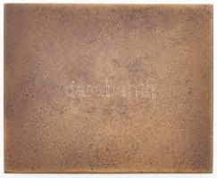 Reményi József (1887-1977) 1923. "Budapesti Budai Torna Egylet 1869" fém plakett "Lud...