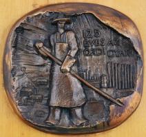 Asszonyi Tamás (1942-) 1970. "125 éves az ózdi gyár" Br plakett fatalpon (~122x130mm) T:2