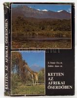 Z. Tomai Éva, Zoltán János: Ketten az afrikai őserdőben. Bp., 1975, Natura. Vászonkötésben, kicsit szakadt papír védőborítóval, egyébként jó állapotban.