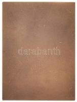 Iván István (1905-1968) DN "Zalaegerszeg" Br plakett (80x60mm) T:2