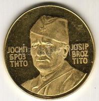 Jugoszlávia 1973. "Jajce 1943-Tito" Au 14,08 emlékérem T:2