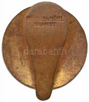 1908. "I.K.T.O.E. 1908" zománcozott Br jelvény, a hátoldalán "HIRSCHLER És FRÖMEL BUD...