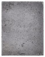 ~1940. "Fotószemle Művészi Tárlata Budapest" fém plakett, "LUDVIG" gyártói jelzé...